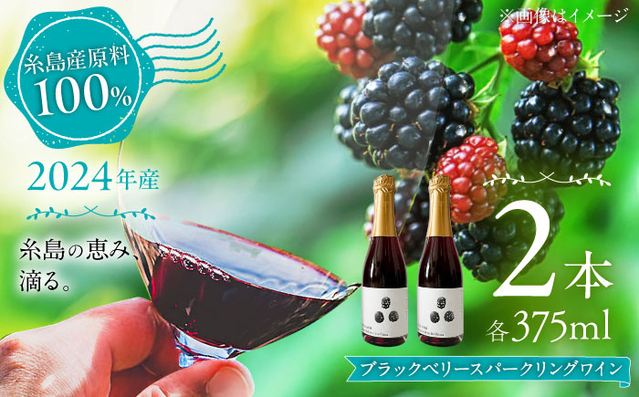 2024年産 糸島産ブラックベリースパークリングワイン 375ml 2本セット / 糸島市 / HYM FARM / お酒 赤ワイン [AHM003]