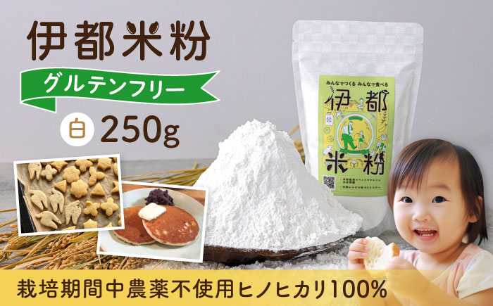 伊都 米粉 白 250g 糸島市 / フルタク グルテンフリー 米 [AHN001]