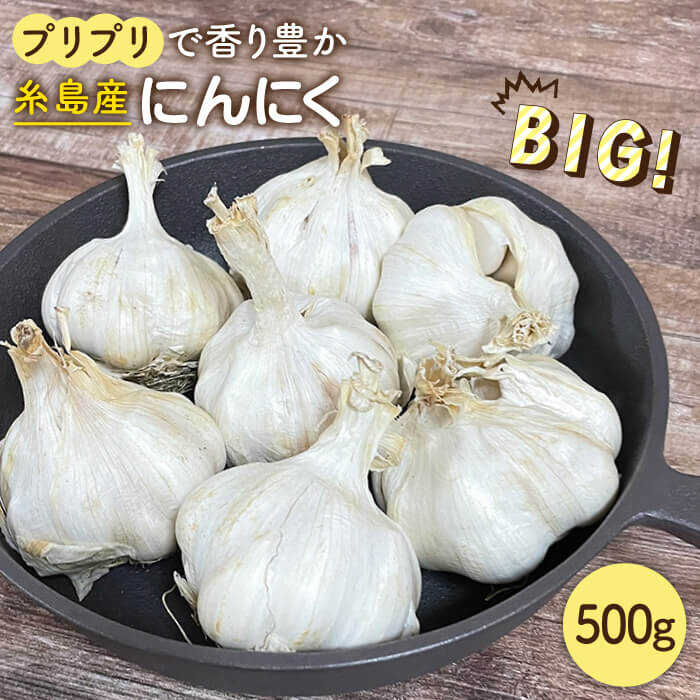 【数量限定！】にんにく500g 大きい！美味しい！糸島市からお届けする自慢のにんにくです【爽風農園】にんにく/ガーリック 【いとしまごころ】[AHZ001]