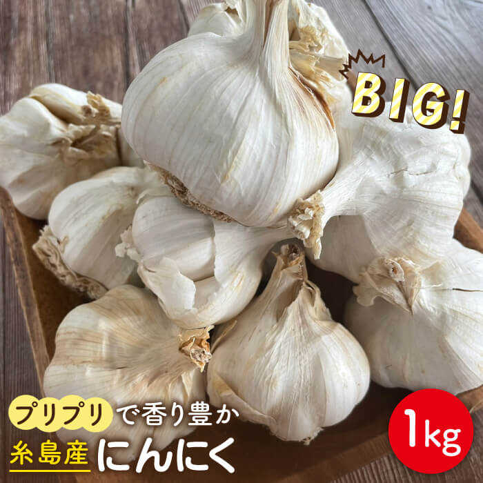 【数量限定！】にんにく1kg 大きい！美味しい！糸島市からお届けする自慢のにんにくです【爽風農園】にんにく/ガーリック 【いとしまごころ】[AHZ002]