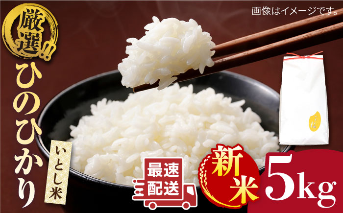 【年内発送】【令和7年産新米】  いとし米 厳選ひのひかり 5kg (糸島産) 糸島市 / 三島商店 [AIM019] 米 白米