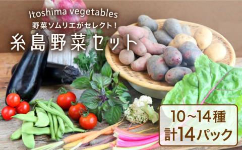 旬を味わう『糸島野菜セット』 10～14種（計14パック） イタリア野菜 オーガニック 野菜ソムリエ松永【vegeLabo】[AJB001]