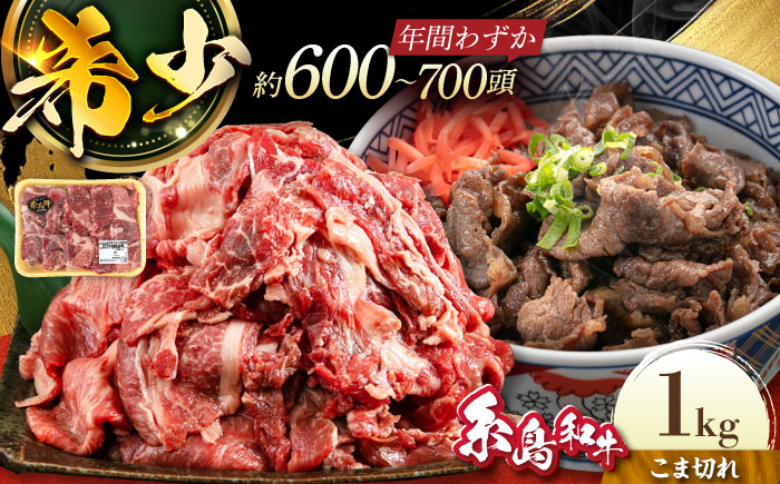 月限定10個の希少和牛！糸島和牛こまぎれ1kg トラヤミートセンター [AJD003]