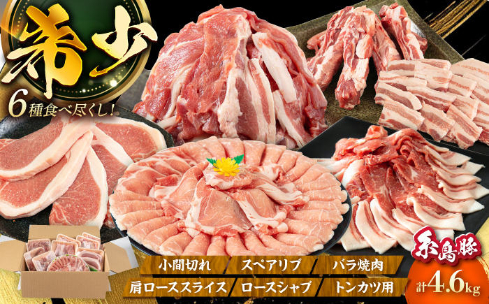 合計4.6kg！糸島豚食べ尽くしセット（とんかつ、肩ロース、しゃぶしゃぶ、豚バラ、スペアリブ、小間切れ） トラヤミートセンター [AJD005]