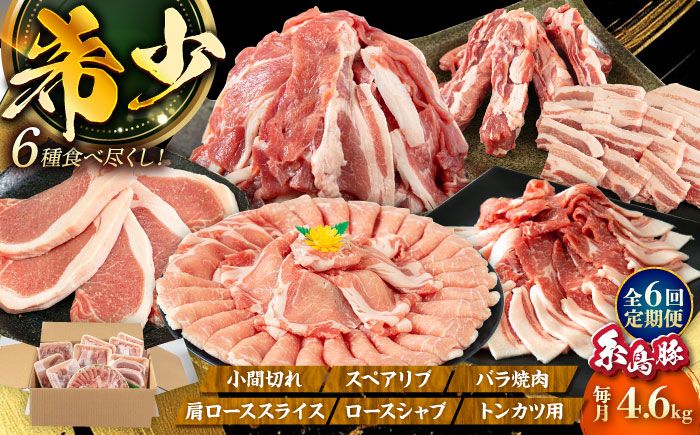 【全6回定期便】計4.6kg！糸島豚 食べ尽くしセット ( とんかつ / 肩ロース / しゃぶしゃぶ / 豚バラ / スペアリブ / 小間切れ ) 糸島市 / トラヤミートセンター [AJD013]