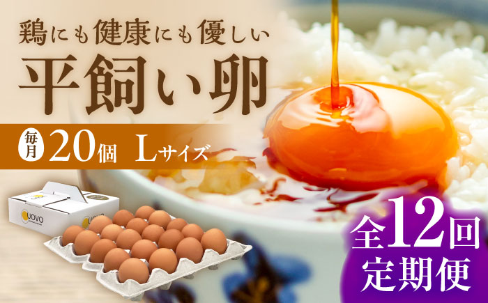 ★12回定期便★こだわりの卵「天上卵」20個セット/鶏卵/平飼い/たまご/玉子 [AKH004]