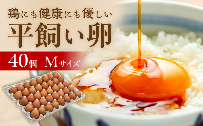 こだわりの卵「天上卵」40個セット 糸島ファームハウスUOVO/鶏卵/平飼い/たまご/玉子 [AKH005] 平飼い卵 平飼い卵 平飼い卵 平卵 平飼い卵 平飼い卵 平飼い卵 平飼い卵 平飼い卵 平飼い卵飼い 平飼い卵 平飼い卵