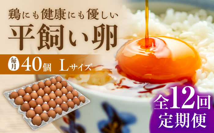 ★12回定期便★ こだわりの卵「天上卵」40個セット 糸島ファームハウスUOVO/鶏卵/平飼い/たまご/玉子 [AKH008]