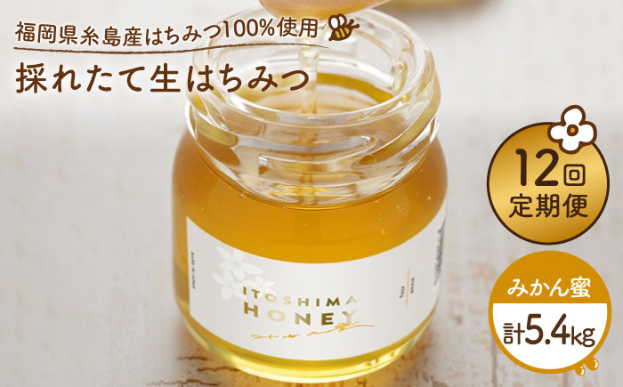 【全12回定期便】福岡糸島産 採れたて生はちみつ（みかん蜜450g）《糸島》【糸島二丈サクランボ農園】 [AKJ007]
