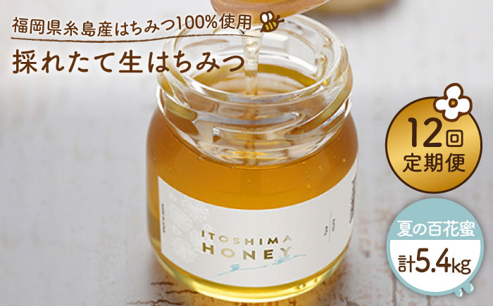 【全12回定期便】福岡糸島産 採れたて生はちみつ（夏の百花蜜450g）《糸島》【糸島二丈サクランボ農園】 [AKJ010]