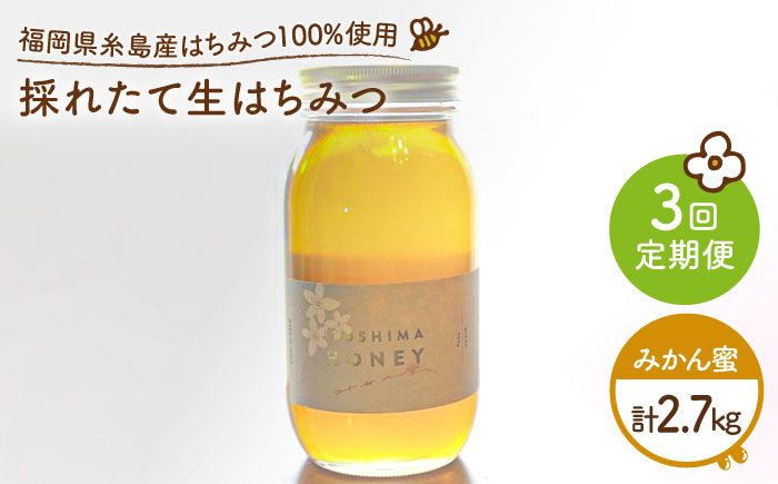 【全3回定期便】福岡糸島産 採れたて生はちみつ（みかん蜜900g）《糸島》【糸島二丈サクランボ農園】 [AKJ011]