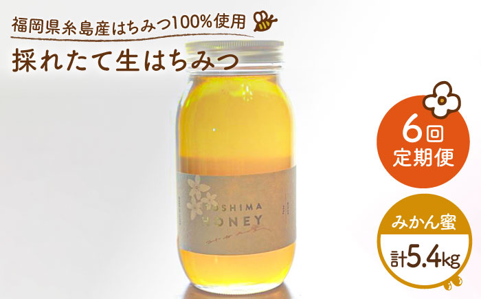 【全6回定期便】福岡糸島産 採れたて生はちみつ（みかん蜜900g）《糸島》【糸島二丈サクランボ農園】 [AKJ012]