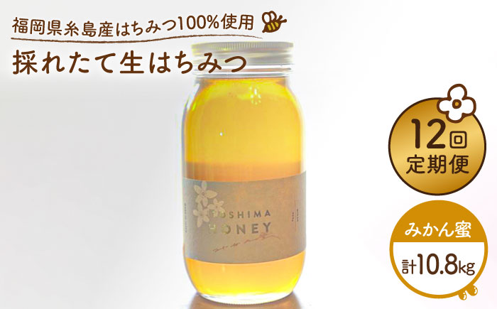 【全12回定期便】福岡糸島産 採れたて生はちみつ（みかん蜜900g）《糸島》【糸島二丈サクランボ農園】 [AKJ013]