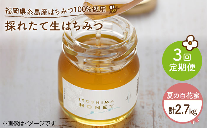 【全3回定期便】福岡糸島産 採れたて生はちみつ（夏の百花蜜900g）《糸島》【糸島二丈サクランボ農園】 [AKJ014]