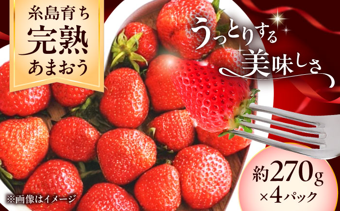 【先行予約】福岡県 糸島市産 完熟 あまおう いちご （約270g×4パック） 【2026年4月以降順次発送】 糸島市 / mhshops / 苺 イチゴ [AKQ002]