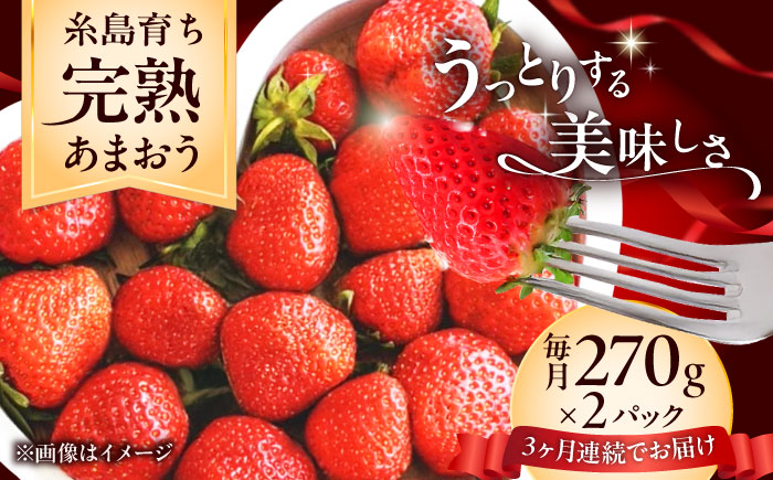 【全3回定期便】福岡県 糸島市産 完熟 あまおう いちご （約270g×2パック） 【2026年4月以降順次発送】 糸島市 / mhshops / 苺 イチゴ [AKQ004]