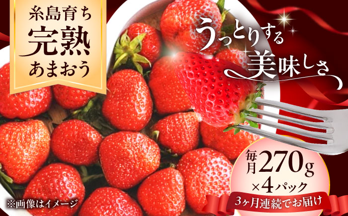 【全3回定期便】福岡県 糸島市産 完熟 あまおう いちご （約270g×4パック） 【2026年4月以降順次発送】 糸島市 / mhshops / 苺 イチゴ [AKQ005]