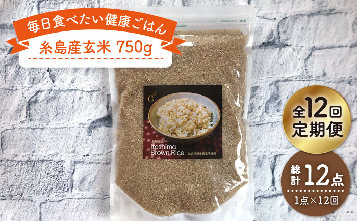 【全12回定期便】糸島産玄米《糸島》【Carna】 [ALA046]