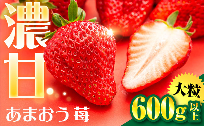 【先行予約】【化粧箱】あまおう いちご 600g以上 【2026年1月以降順次発送】 糸島市 / 株式会社フルコンス [ALO001]