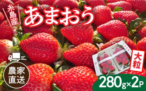 【先行予約】【農家直送！】糸島産あまおう 280g×2パック (DXまたはGサイズ) 【2025年12月以降順次発送】糸島市 / 後藤農園[AML001]