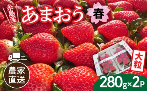 【先行予約】【農家直送！】糸島産 春 あまおう 280g × 2パック (DXまたはGサイズ) 【2026年2月上旬以降順次発送】糸島市 / 後藤農園 [AML004] いちご 福岡