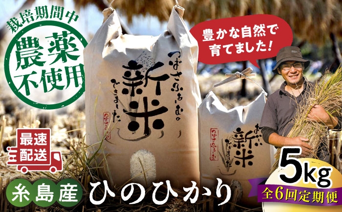 【全6回定期便】 糸島産 雷山のふもとの米 農薬不使用 5kg 糸島市 / ツバサファーム [ANI004] 白米 玄米