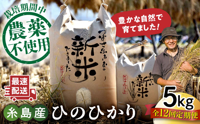 【全12回定期便】 糸島産 雷山のふもとの米 農薬不使用 5kg 糸島市 / ツバサファーム [ANI005] 白米 玄米