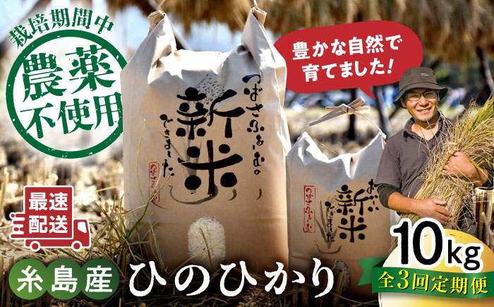 【全3回定期便】 糸島産 雷山のふもとの米 農薬不使用 10kg 糸島市 / ツバサファーム [ANI006] 白米 玄米