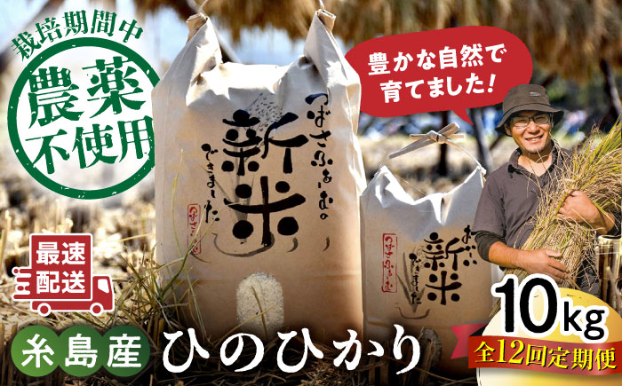 【全12回定期便】 糸島産 雷山のふもとの米 農薬不使用 10kg 糸島市 / ツバサファーム [ANI008] 白米 玄米