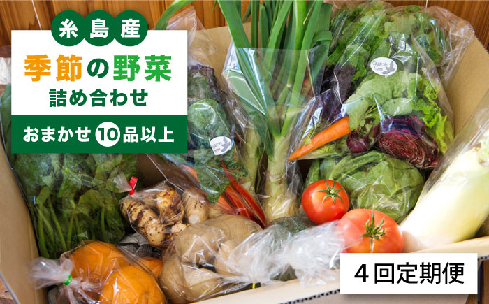 【全4回定期便】毎シーズンお届け！季節の野菜詰め合わせ ＜おまかせ10品以上＞《糸島市》【ひめしま渡船直売所】 [ANJ002]