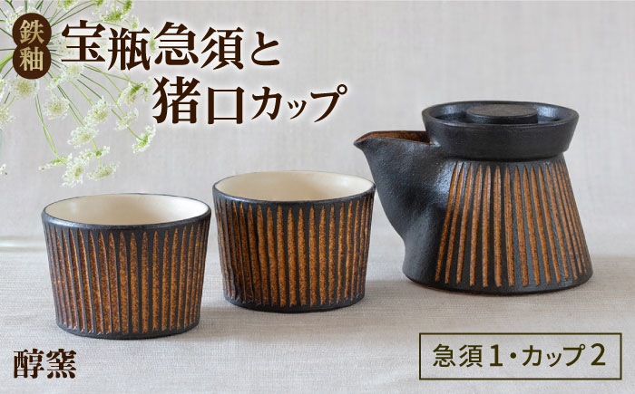 鉄釉 宝瓶急須と?^口カップ 2個セット 糸島市 / 醇窯 セット カップ [AOE010]
