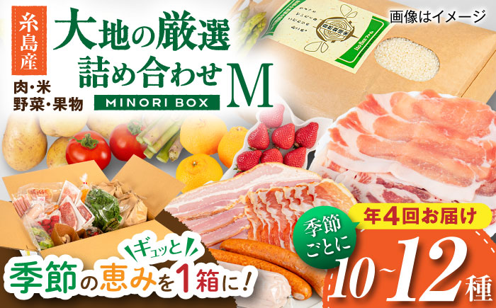 【全4回定期便 令和7年産新米】糸島産 肉 米 野菜 果物 厳選詰め合わせ MINORI BOX Mサイズ【季節ごとに年4回お届け】 糸島市 / emma.Inc / 米 肉 野菜 果物 詰め合わせ [AOP002]
