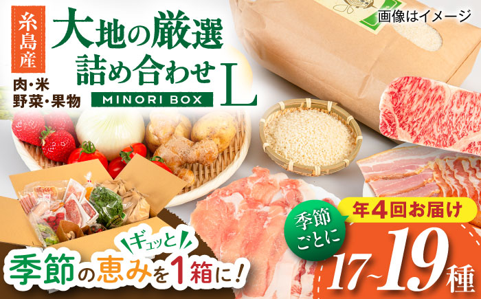 【全4回定期便 令和7年産新米】糸島産 肉 米 野菜 果物 厳選詰め合わせ MINORI BOX Lサイズ【季節ごとに年4回お届け】 糸島市 / emma.Inc / 米 肉 野菜 果物 詰め合わせ [AOP003]