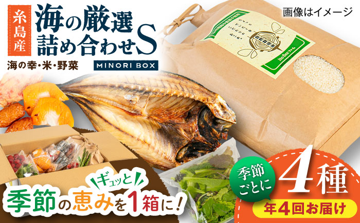 【全4回定期便 令和7年産新米】糸島産 魚 米 野菜 果物 厳選詰め合わせ MINORI BOX Sサイズ【季節ごとに年4回お届け】　糸島市 / emma.Inc / 米 魚 野菜 詰め合わせ [AOP004]