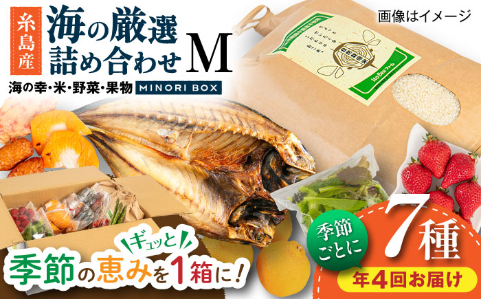【全4回定期便 令和7年産新米】糸島産 魚 米 野菜 果物 厳選詰め合わせ MINORI BOX Mサイズ【季節ごとに年4回お届け】 糸島市 / emma.Inc / 米 魚 野菜 果物 詰め合わせ [AOP005]