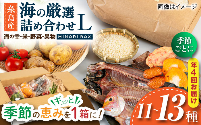 【全4回定期便 令和7年産新米】糸島産 魚 米 野菜 果物 厳選詰め合わせ MINORI BOX Lサイズ【季節ごとに年4回お届け】　糸島市 / emma.Inc / 米 魚 野菜 果物 詰め合わせ [AOP006]