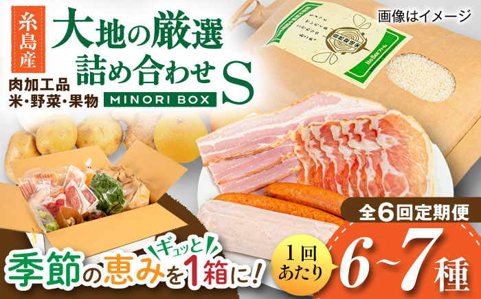 【全6回定期便】糸島産 肉 米 野菜 果物 厳選詰め合わせ MINORI BOX Sサイズ 糸島市 / emma.Inc / 米 肉 野菜 果物 詰め合わせ [AOP009]