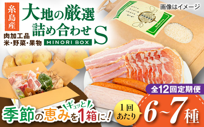 【全12回定期便】糸島産 肉 米 野菜 果物 厳選詰め合わせ MINORI BOX Sサイズ 糸島市 / emma.Inc / 米 肉 野菜 果物 詰め合わせ [AOP010]