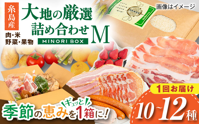 【年内発送】糸島産 肉 米 野菜 果物 厳選詰め合わせ MINORI BOX Mサイズ 糸島市 / emma.Inc / 米 肉 野菜 果物 詰め合わせ [AOP011]