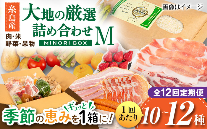 【全12回定期便】糸島産 肉 米 野菜 果物 厳選詰め合わせ MINORI BOX Mサイズ 糸島市 / emma.Inc / 米 肉 野菜 果物 詰め合わせ [AOP014]