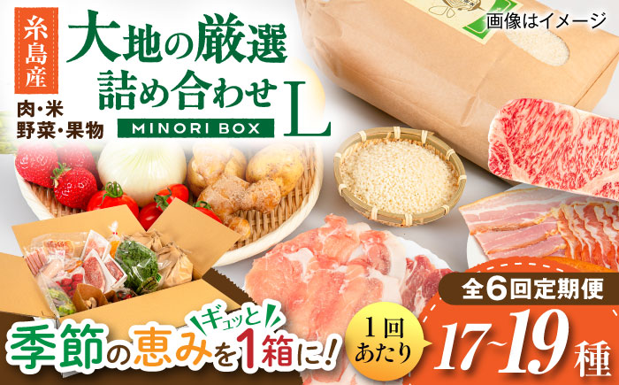 【全6回定期便】糸島産 肉 米 野菜 果物 厳選詰め合わせ MINORI BOX Lサイズ 糸島市 / emma.Inc / 米 肉 野菜 果物 詰め合わせ [AOP017]