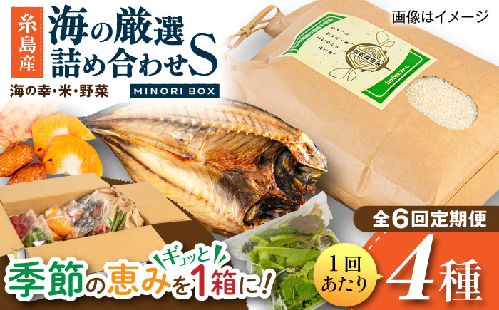 【全6回定期便】糸島産 魚 米 野菜 果物 厳選詰め合わせ MINORI BOX Sサイズ 糸島市 / emma.Inc / 米 魚 野菜 詰め合わせ [AOP021]