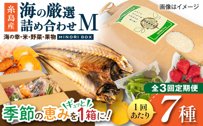 【全3回定期便】糸島産 魚 米 野菜 果物 厳選詰め合わせ MINORI BOX Mサイズ 糸島市 / emma.Inc / 米 魚 野菜 果物 詰め合わせ [AOP024]
