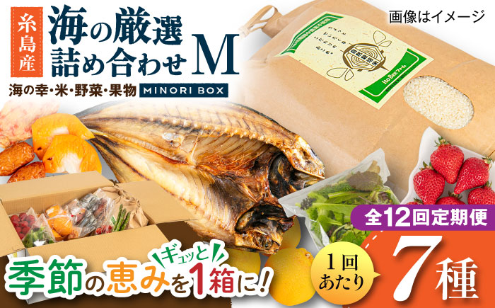 【全12回定期便】糸島産 魚 米 野菜 果物 厳選詰め合わせ MINORI BOX Mサイズ 糸島市 / emma.Inc / 米 魚 野菜 果物 詰め合わせ [AOP026]