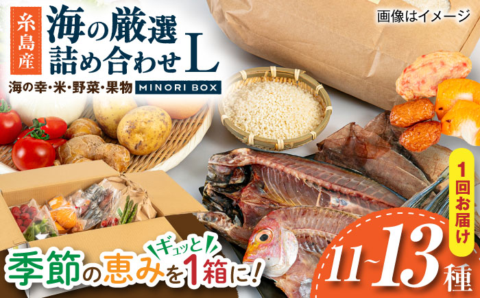【年内発送】糸島産 魚 米 野菜 果物 厳選詰め合わせ MINORI BOX Lサイズ 糸島市 / emma.Inc / 米 魚 野菜 果物 詰め合わせ [AOP027]