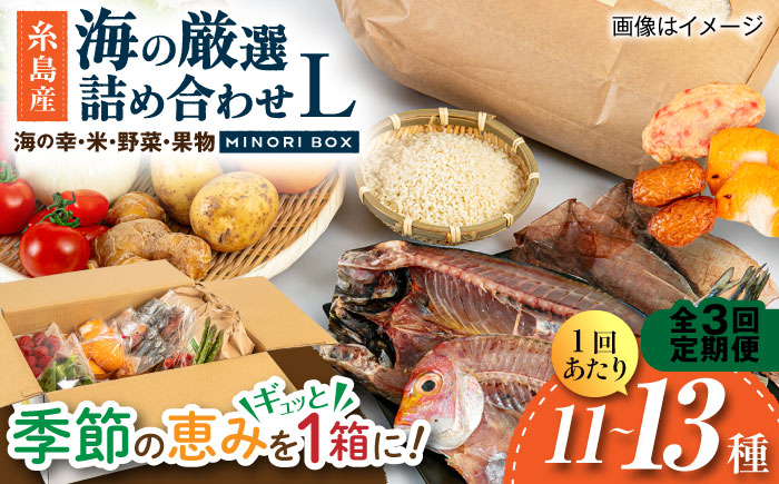 【全3回定期便】糸島産 魚 米 野菜 果物 厳選詰め合わせ MINORI BOX Lサイズ 糸島市 / emma.Inc / 米 魚 野菜 果物 詰め合わせ [AOP028]