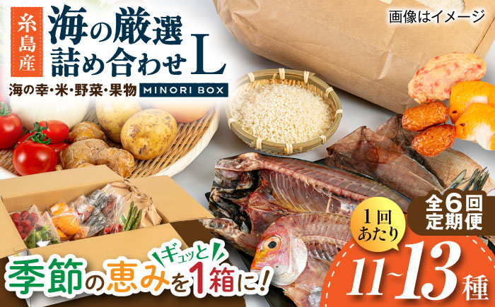 【全6回定期便】糸島産 魚 米 野菜 果物 厳選詰め合わせ MINORI BOX Lサイズ 糸島市 / emma.Inc / 米 魚 野菜 果物 詰め合わせ [AOP029]
