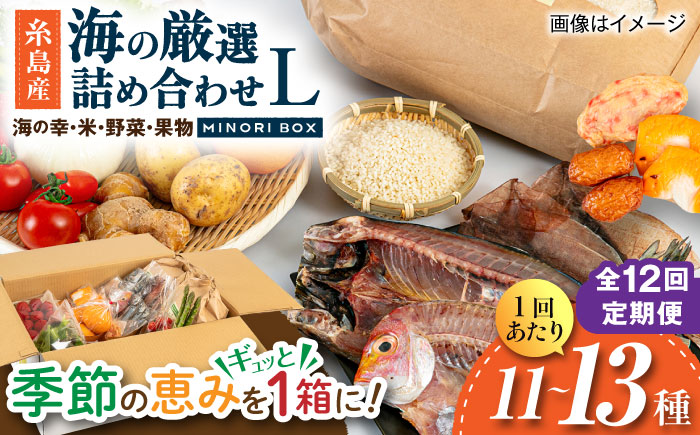【全12回定期便】糸島産 魚 米 野菜 果物 厳選詰め合わせ MINORI BOX Lサイズ 糸島市 / emma.Inc / 米 魚 野菜 果物 詰め合わせ [AOP030]