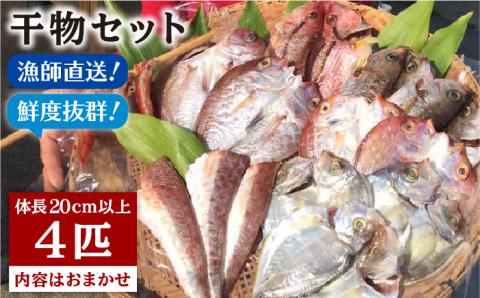 干物セット4点（1匹20cm以上） マダイ 徳栄丸 [APD006]