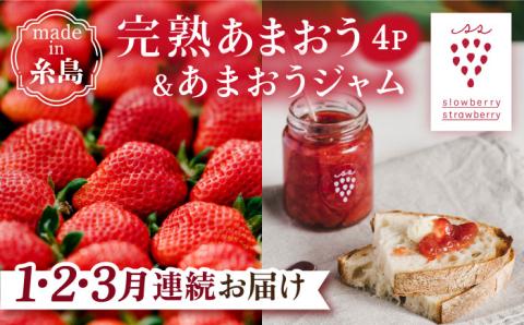 【先行受付】【全3回定期便】完熟 あまおう 270g × 4パック / あまおうジャム 140g × 3本 苺 いちご【2026年1月より順次発送】 糸島市 / slowberry strawberry [APJ004]